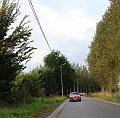 Follow the Leader  (240)